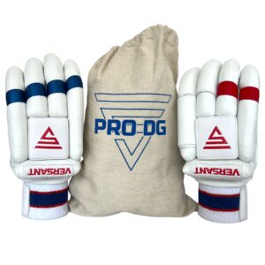 VERSANT Pro DG Batting Gloves - Navy/Red