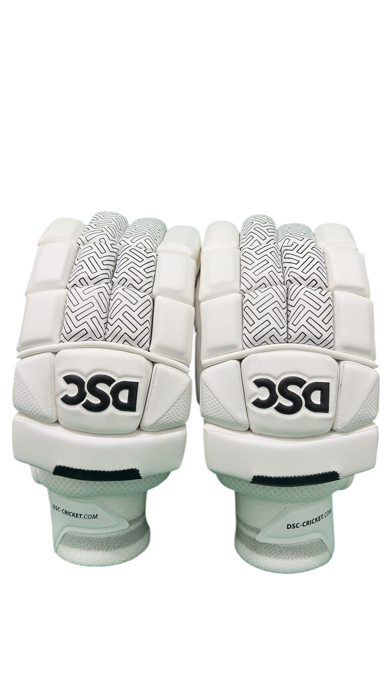 DSC Blak 2000 Batting Gloves